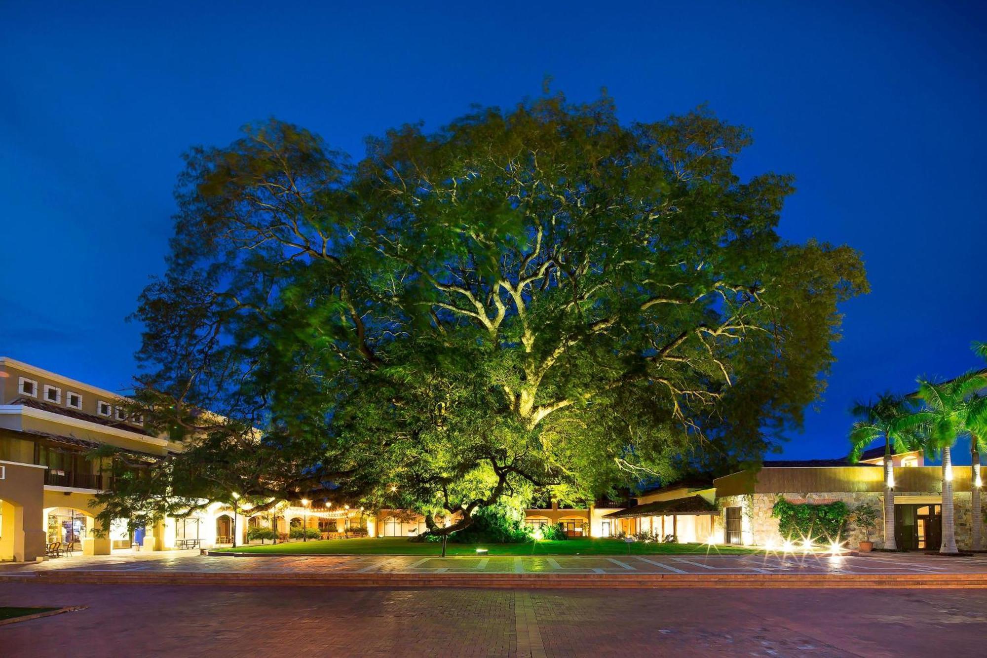 The Buenaventura Golf & Beach Resort, Autograph Collection Rio Hato Exterior photo